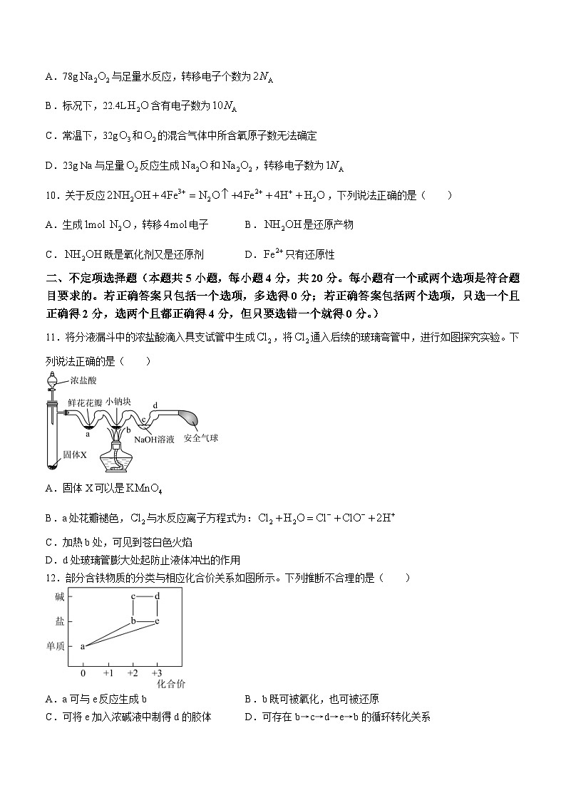 河南省南阳市六校2023-2024学年高一上学期12月月考化学试题第3页