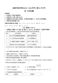 四川省成都外国语学校2023-2024学年高一上学期12月月考化学试题