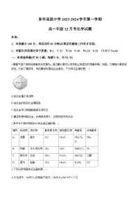 广东省东莞市重点高级中学2023-2024学年高一上学期12月月考化学试题(含答案)