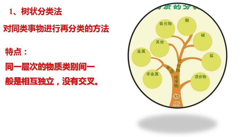 1.1.1 物质的分类 课件 2023-2024学年高一上学期化学人教版(2019)必修第一册第5页