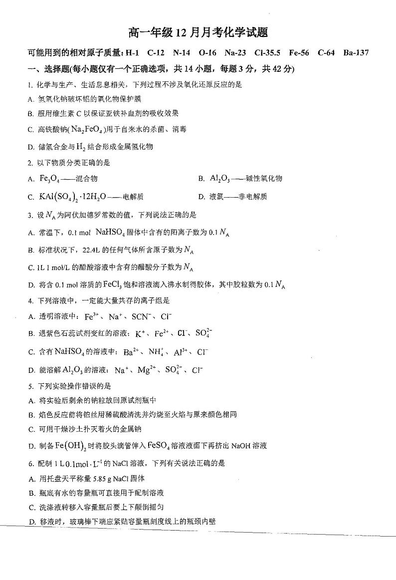 湖南省邵阳市新邵县第三中学2023-2024学年高一上学期12月月考化学试题第1页