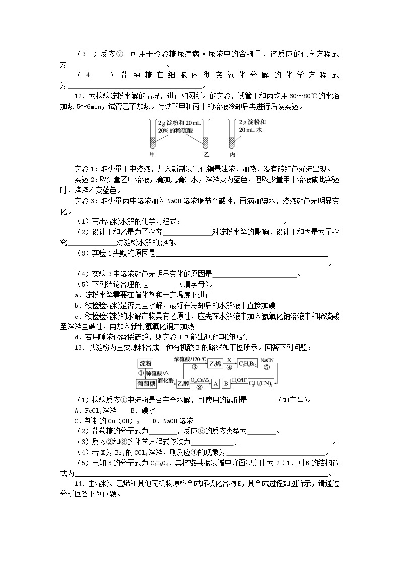 新教材2023版高中化学课时作业十二糖类和核酸鲁科版选择性必修303