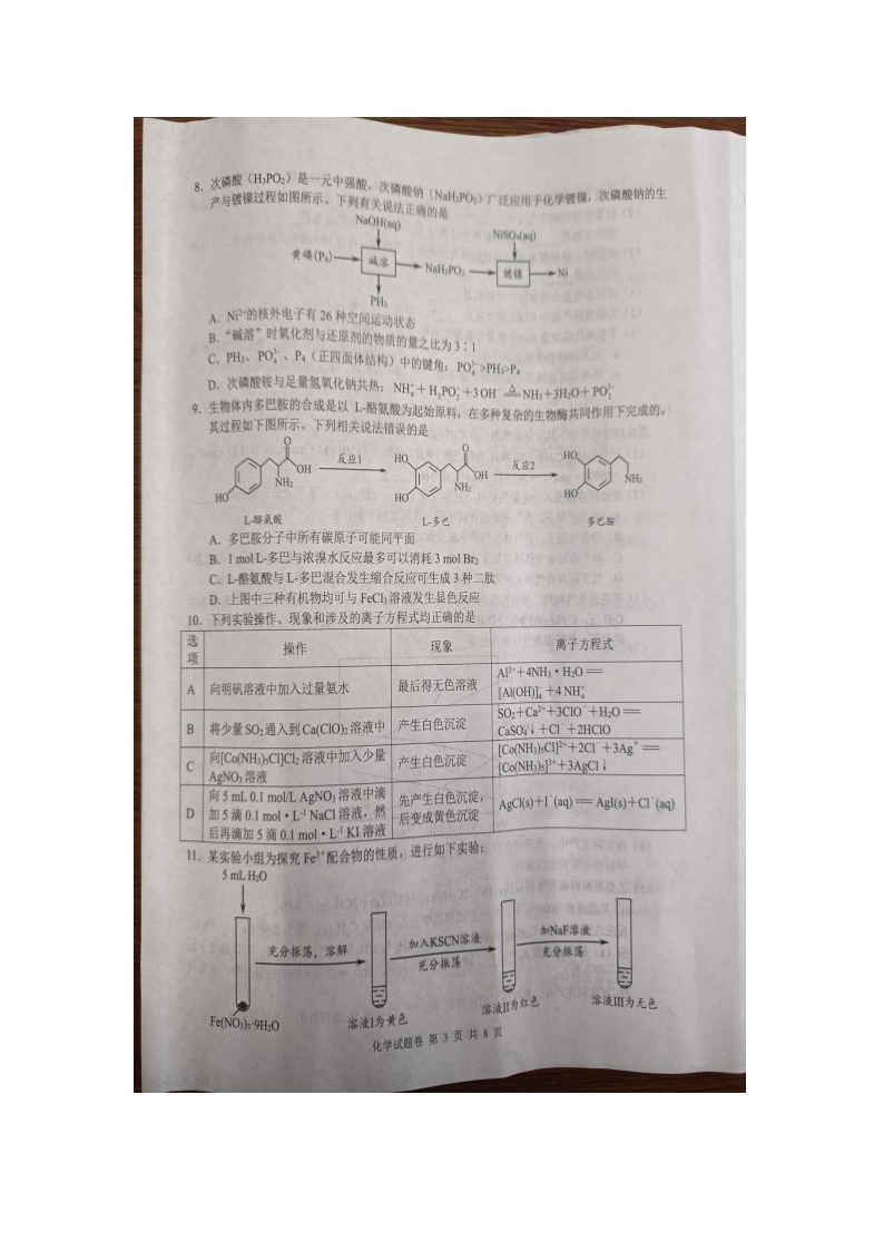 湖南省株洲市2024届高三上学期教学质量统一检测化学试题03