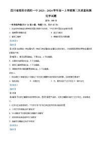 四川省绵阳第一中学2023-2024学年高一上学期第三次质量检测化学试题（Word版附解析）