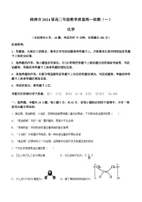 湖南省株洲市2023-2024学年高三上学期1月教学质量统一检测（一）化学试卷（含答案）