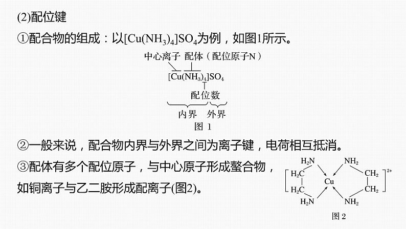 专题二 物质结构与性质 选择题专攻 1.元素周期律、化学键与分子结构课件-2024年高考化学二轮复习第7页