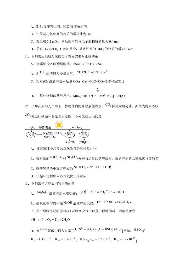 2023-2024学年四川省泸州市泸县高一上学期1月期末化学模拟试题(含答案)第3页