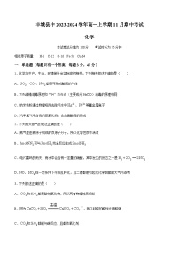 江西省宜春市丰城中学2023-2024学年高一上学期11月期中考试化学试题含答案