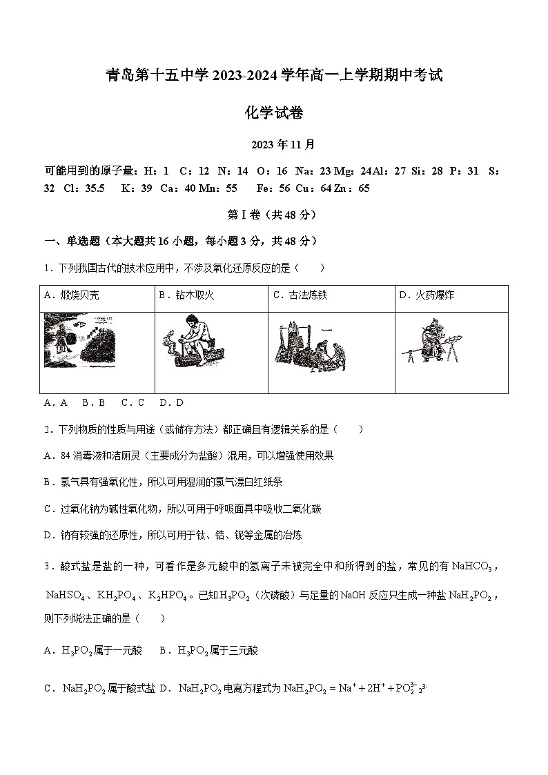 山东省青岛第十五中学2023-2024学年高一上学期期中考试化学试卷含答案01