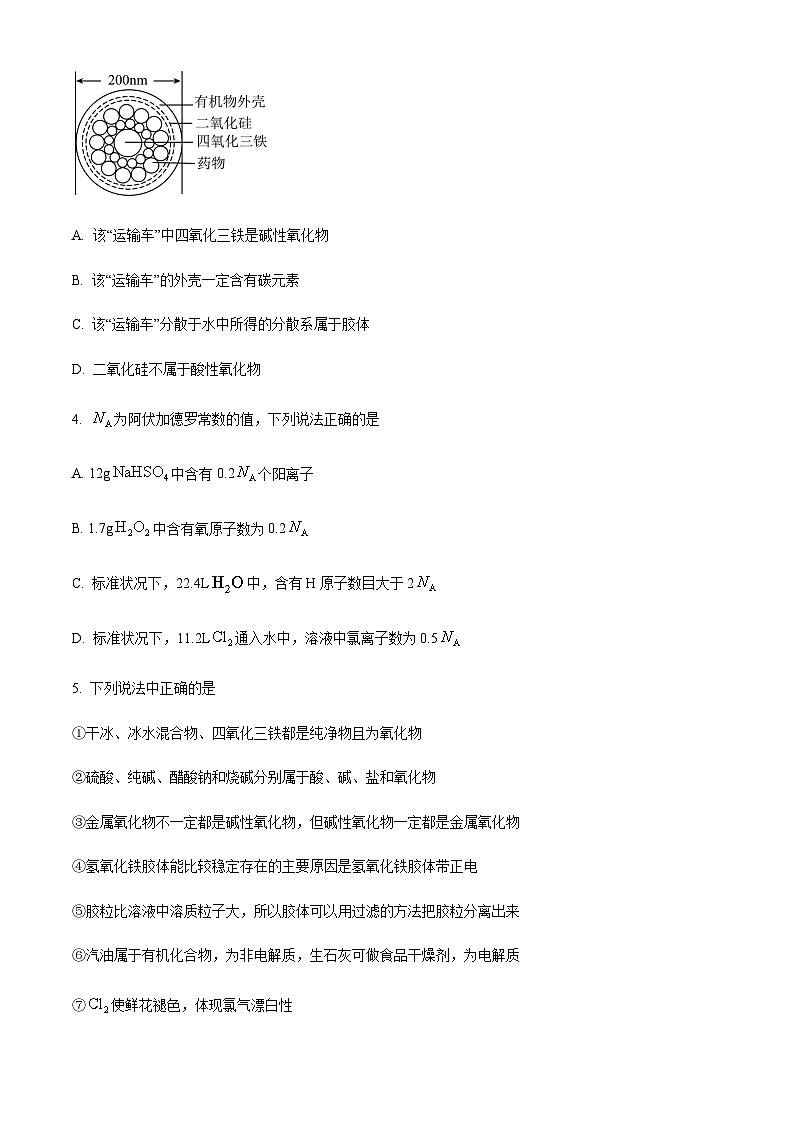 山东省青岛市莱西市2023-2024学年高一上学期期中考试化学试题含答案第2页