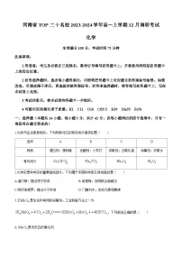 河南省TOP二十名校2023-2024学年高一上学期12月调研考试化学试题含答案