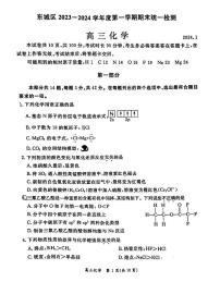 2024学北京东城区高三上学期期末化学试题及答案