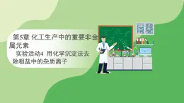 人教版高中化学必修二课件 第5章 实验活动4 用化学沉淀法去除粗盐中的杂质离子（课件）