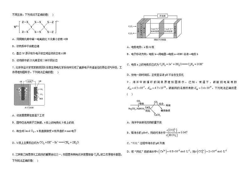 河南省南阳市桐柏县实验高级中学2024届高三上学期阶段检测化学试题(12月)含答案第2页