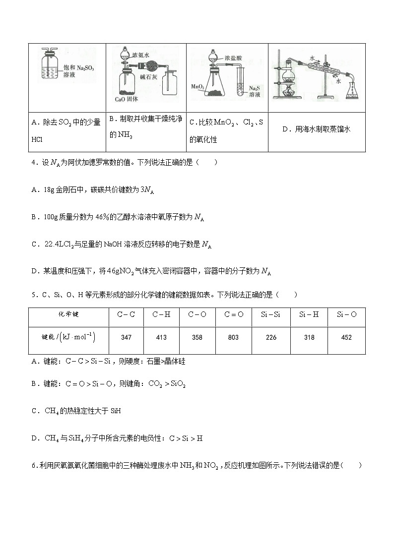 山东省部分学校2023-2024学年高三上学期12月联考化学试卷含答案02