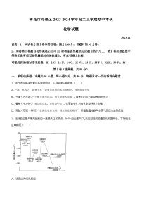 山东省青岛市第十九中学2023-2024学年高二上学期期中考试化学试卷含答案