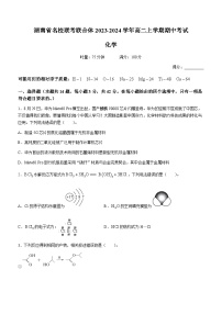 湖南省名校联考联合体2023-2024学年高二上学期期中考试化学试题含答案
