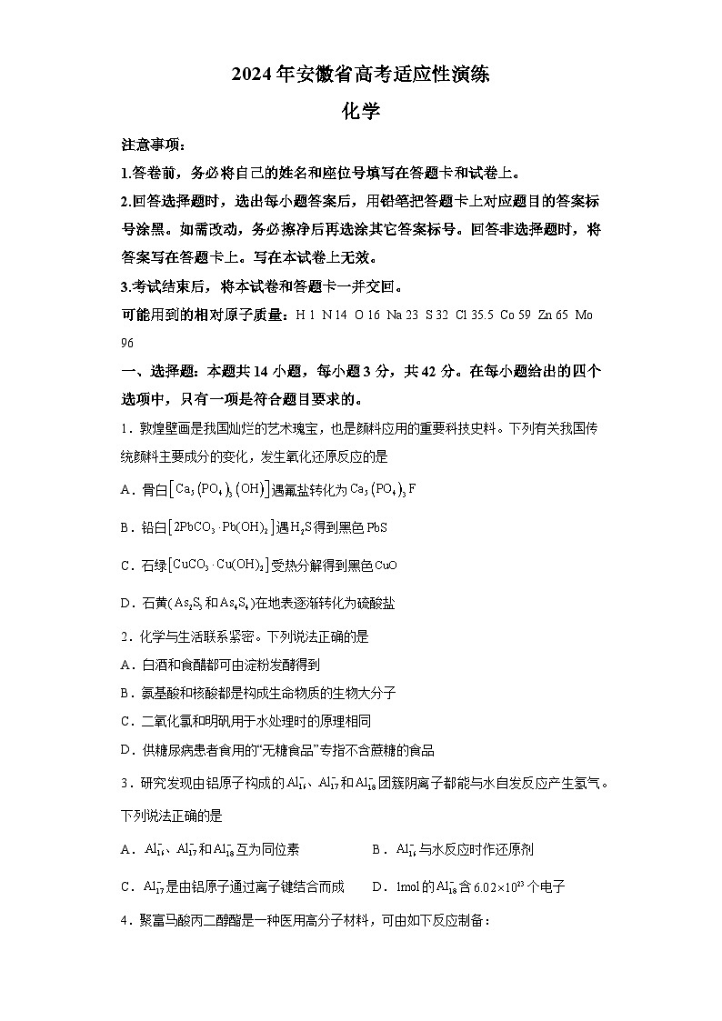 2024年1月安徽普通高等学校招生考试适应性测试化学试题第1页