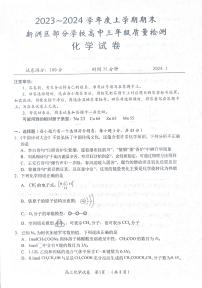 湖北省武汉市新洲区部分学校2023-2024学年高三上学期期末质量检测化学试题（扫描版含答案）