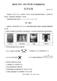 2023-2024学年北京通州区高三上学期期末化学试题