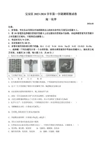 广东深圳宝安区2023-2024学年高一上学期调研测试卷化学试题