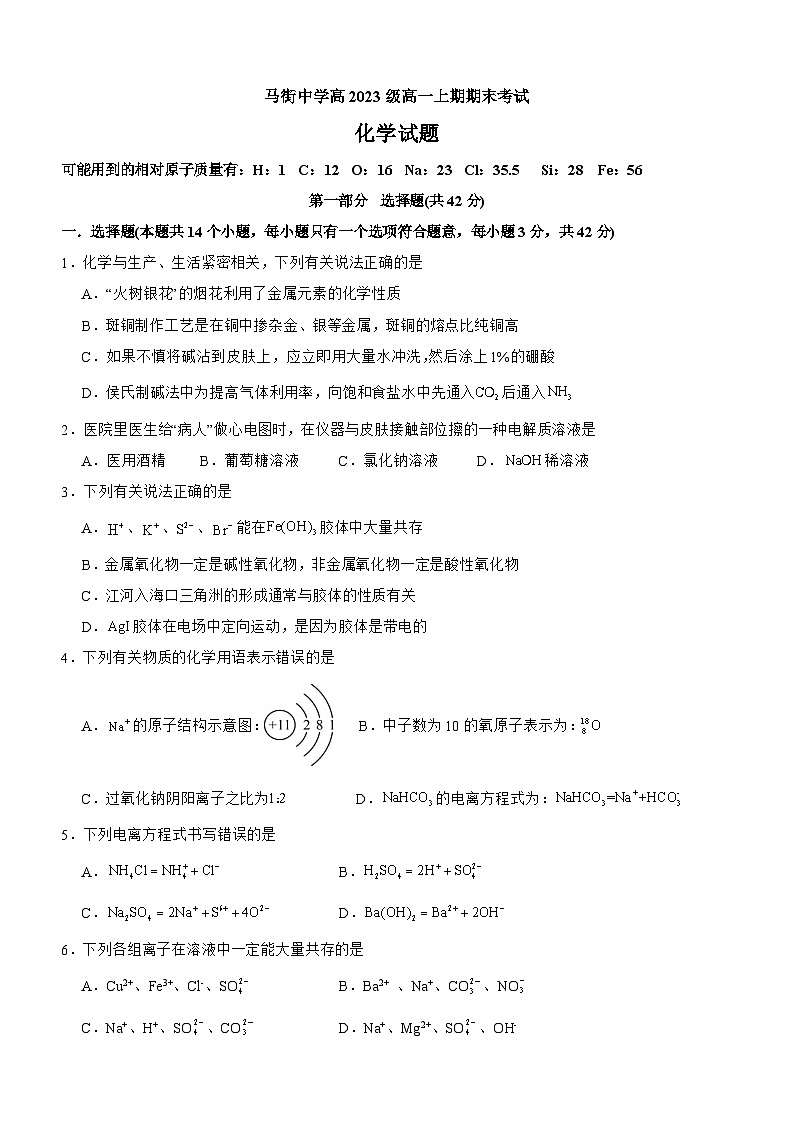 四川省泸州市合江县马街中学校2023-2024学年高一上学期1月期末化学试题第1页
