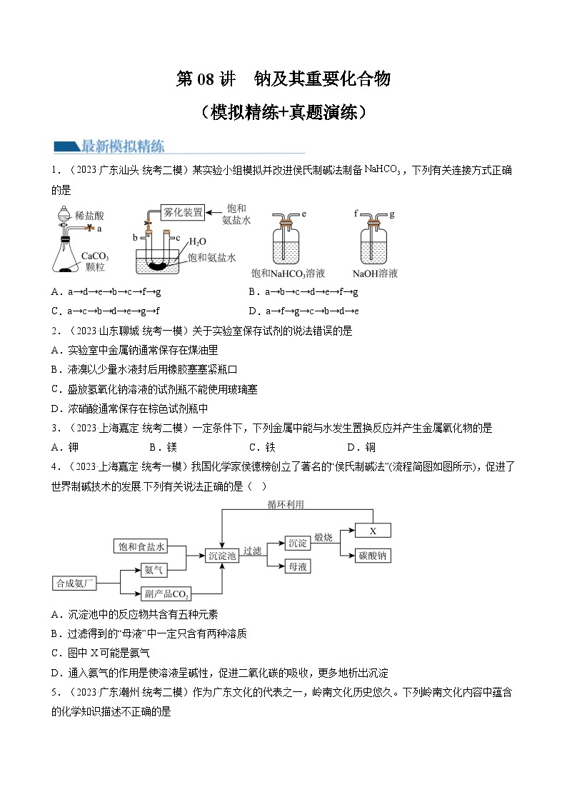 新高考化学复习讲义+练习 第08讲 钠及其重要化合物（讲义+练习）（原卷版）01