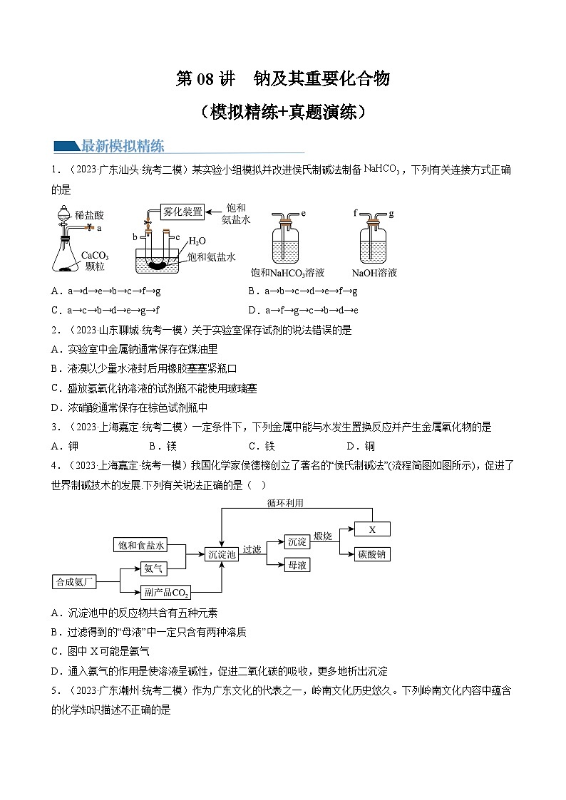 新高考化学复习讲义+练习 第08讲 钠及其重要化合物(讲义+练习)(原卷版)01