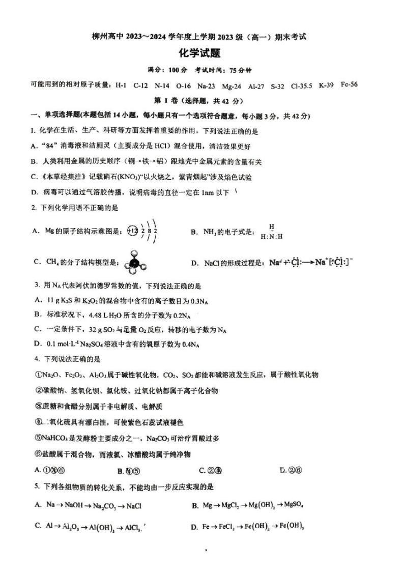 广西柳州市柳州高级中学2023-2024学年高一上学期期末考试化学试题01
