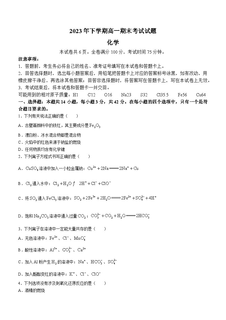 湖南省株洲市方舟兰天高级中学2023-2024学年高一上学期期末考试化学试卷+01