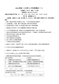 湖北省武汉市新洲区第一中学2024届高二上学期11月阶段测试化学试题