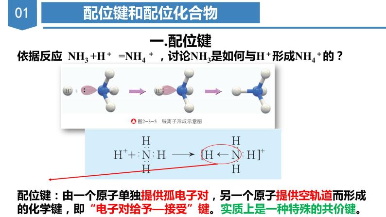 【沪科版】化学选修二  2.3 配位化合物和超分子（课件+练习）05