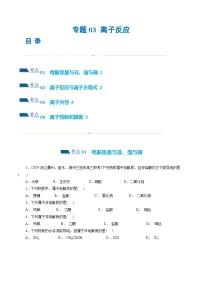 专题03 离子反应(练习)-2024年高考化学二轮复习讲与练(新教材新高考)