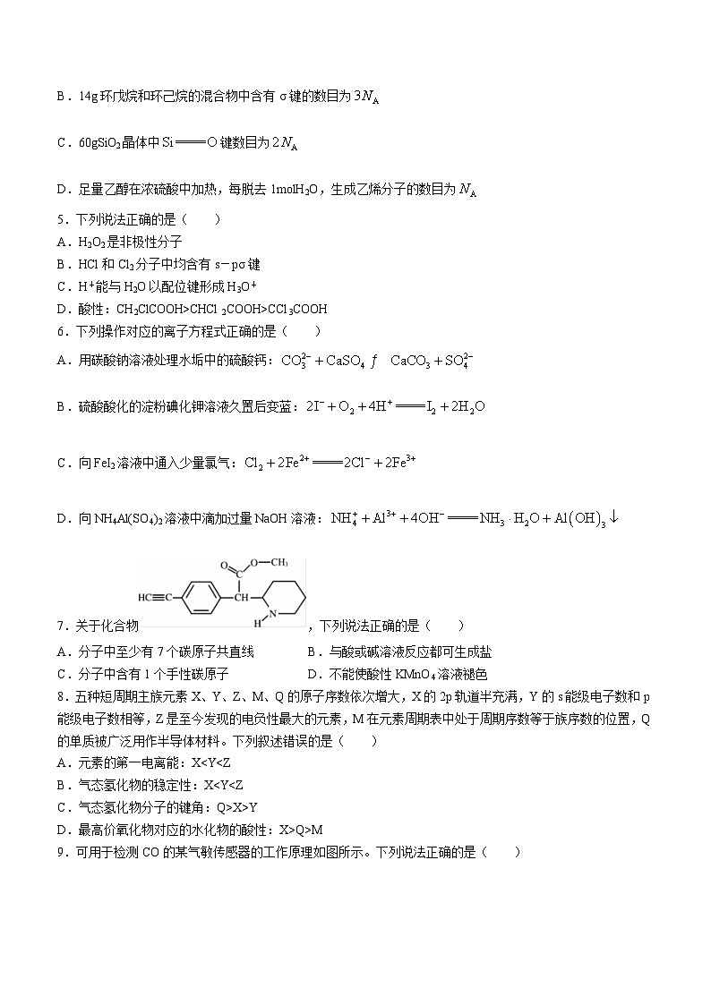安徽省阜阳市第三中学2023-2024学年高二上学期1月期末化学试题02