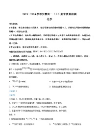 安徽省合肥市第六中学2023-2024学年高一上期末质量检测化学试卷（Word版附解析）