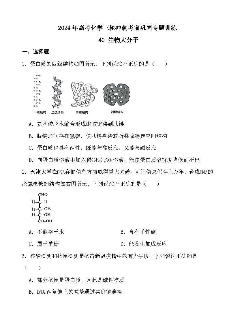 2024年高考化学三轮冲刺考前巩固专题训练40 生物大分子01