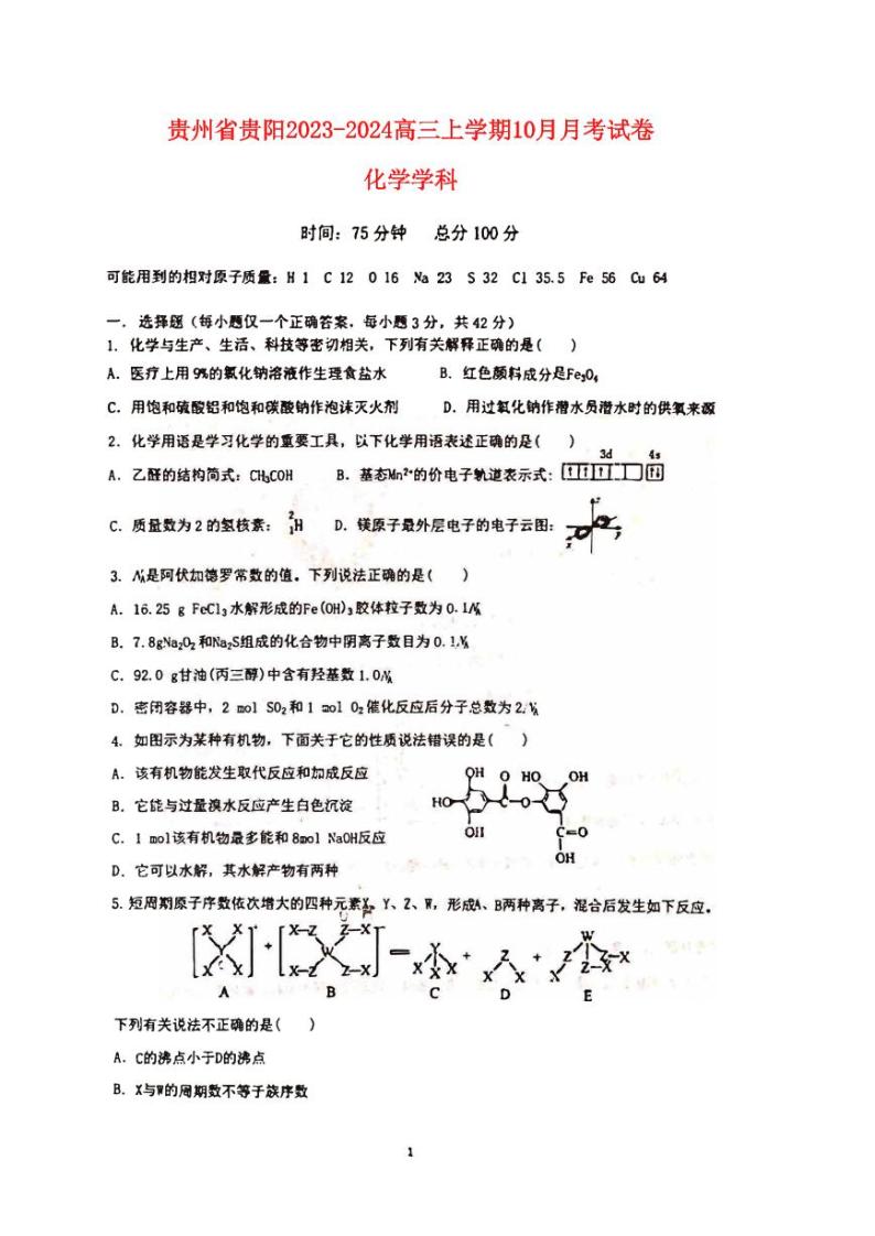 贵州省贵阳2023_2024高三化学上学期10月月考试题无答案01