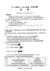 2024湖南金太阳2月高三下学期化学试卷（含答案）