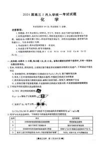2024湖南金太阳2月高三下学期化学试卷(含答案)