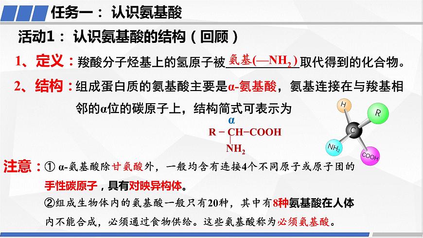 [4.2.2]蛋白質(zhì)（第2課時(shí)，蛋白質(zhì)及酶）2023-2024學(xué)年高二化學(xué)人教版（2019）選擇性必修3課件第5頁