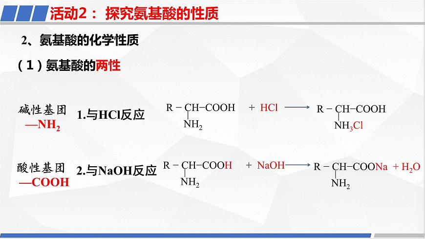[4.2.2]蛋白質(zhì)（第2課時(shí)，蛋白質(zhì)及酶）2023-2024學(xué)年高二化學(xué)人教版（2019）選擇性必修3課件第8頁