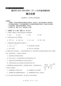 2024届重庆高三下学期3月月考化学试题+答案