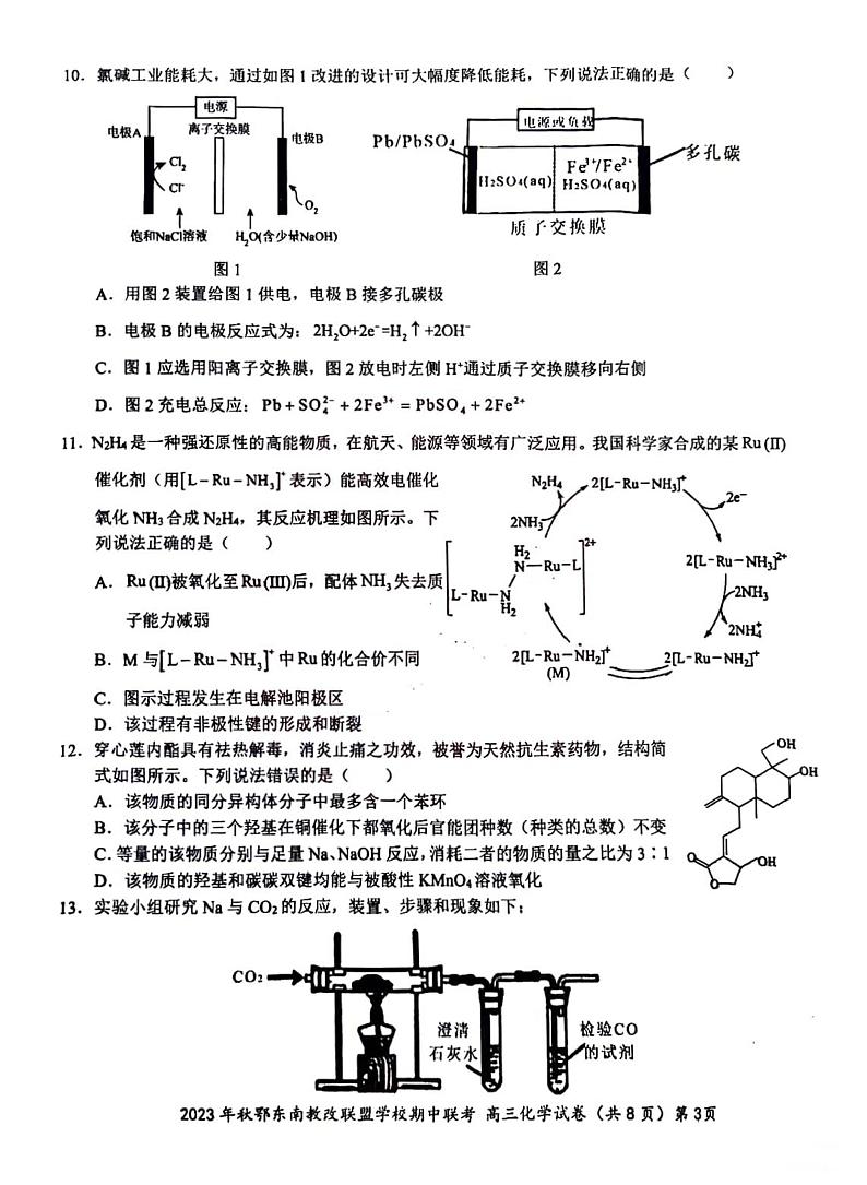 湖北术东南2023_2024高三化学上学期期中联考试题pdf第3页