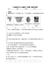 广东省湛江市2024届高三下学期一模化学试卷(含答案)