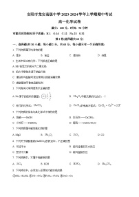 河南省安阳市龙安高级中学2023-2024学年高一上学期期中考试化学试卷（原卷版+解析版）