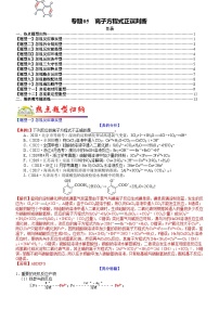 专题05 离子方程式正误判断-最新高考化学毕业班二轮热点题型归纳与变式演练（新高考专用）