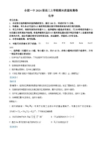 安徽省合肥市第一中学2023-2024学年高三上学期期末考试化学试卷（Word版附解析）