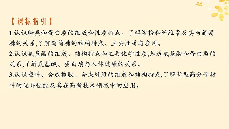 备战2025届新高考化学一轮总复习第9章有机化学基础第51讲生物大分子合成高分子课件02
