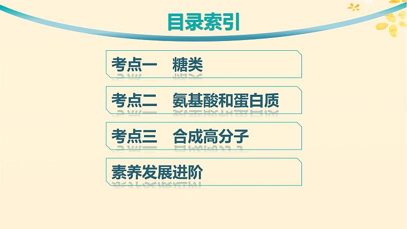 备战2025届新高考化学一轮总复习第9章有机化学基础第51讲生物大分子合成高分子课件03