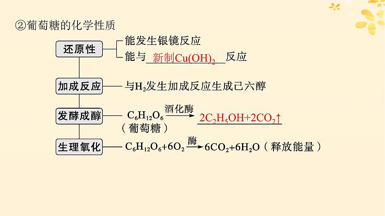 备战2025届新高考化学一轮总复习第9章有机化学基础第51讲生物大分子合成高分子课件07